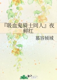 『吸血鬼骑士同人』夜鲜红