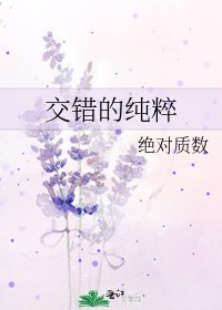 交错的纯粹