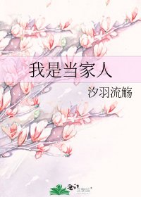 《我是当家人》