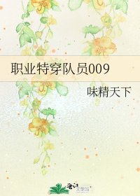 《职业特穿队员009》