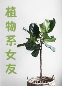 （綜英美同人）[綜英美]植物系女友