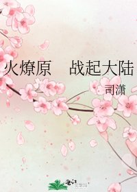 火燎原 战起大陆