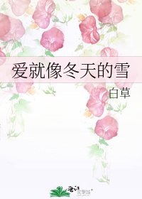 《爱就像冬天的雪》