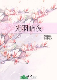 光羽暗夜