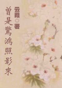 曾是驚鴻照影來