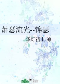 萧瑟流光--锦瑟