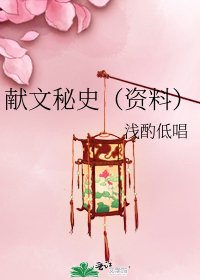 献文秘史(资料)