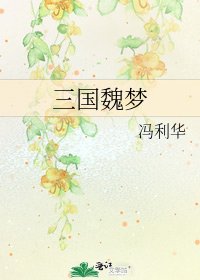《三国魏梦》