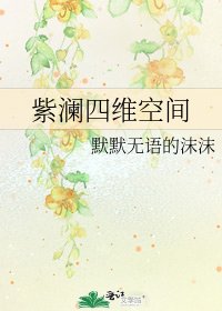 《紫澜四维空间》