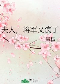 夫人,將軍又瘋了