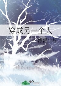穿成另一个人