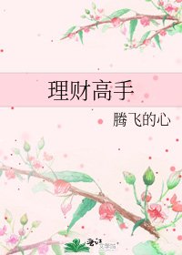 理财高手