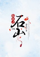 農家之石山(穿越)
