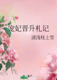 宠妃晋升札记