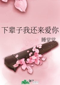 《下辈子我还来爱你》