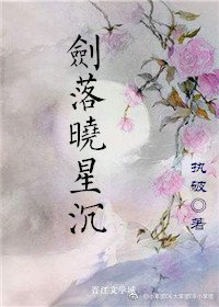 《剑落晓星沉》