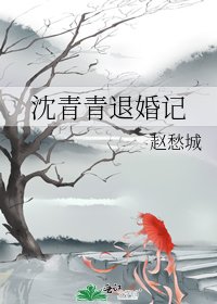 《沈青青退婚记》