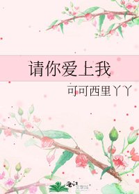 请你爱上我