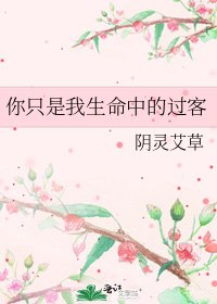 你只是我生命中的过客