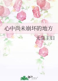 心中尚未崩淳的地方