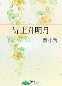 锦上升明月