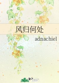 《风归何处》