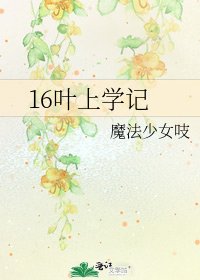 《16叶上学记》