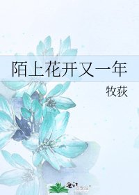 《陌上花开又一年》