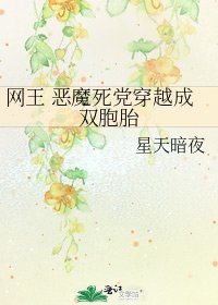 网王 恶魔死党穿越成双胞胎