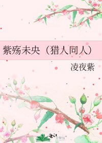 紫殇未央(猎人同人)