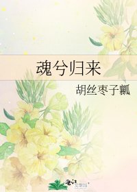 魂兮归来