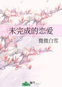 《未完成的恋爱》
