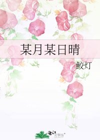 《某月某日晴》