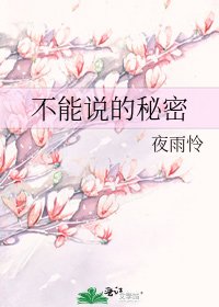 不能说的秘密