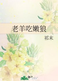 老羊吃哟狼