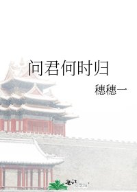 《问君何时归》