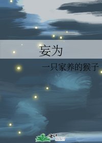 《妄为》