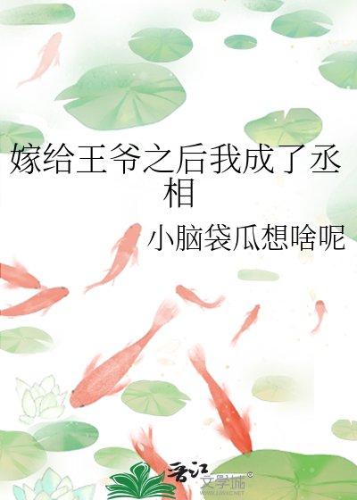 《嫁给王爷之后我成了丞相》