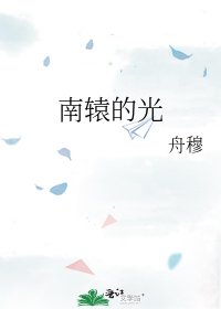 南辕的光