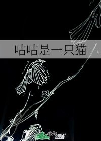 咕咕是一只猫