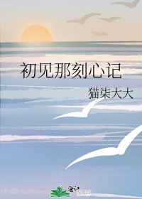 初见那刻心记