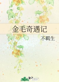 金毛奇遇记