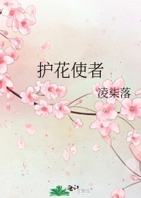 护花使者