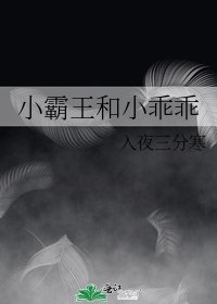小霸王和小乖乖