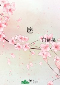 愿