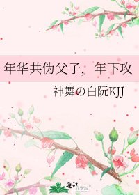 年华共伪父子,年下攻