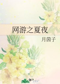 《网游之夏夜》