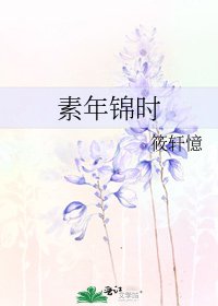 素年锦时