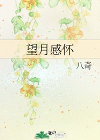 望月感怀