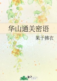 华山通关密语
